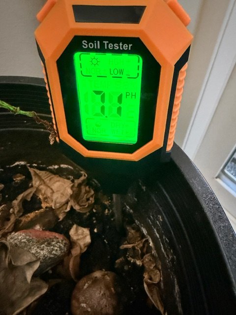 My soil meter in a pot of dirt. It reads four things at once.